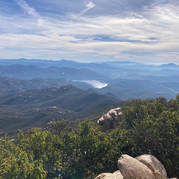 Meet your Posher, Madeleine - Picture 1 of 1